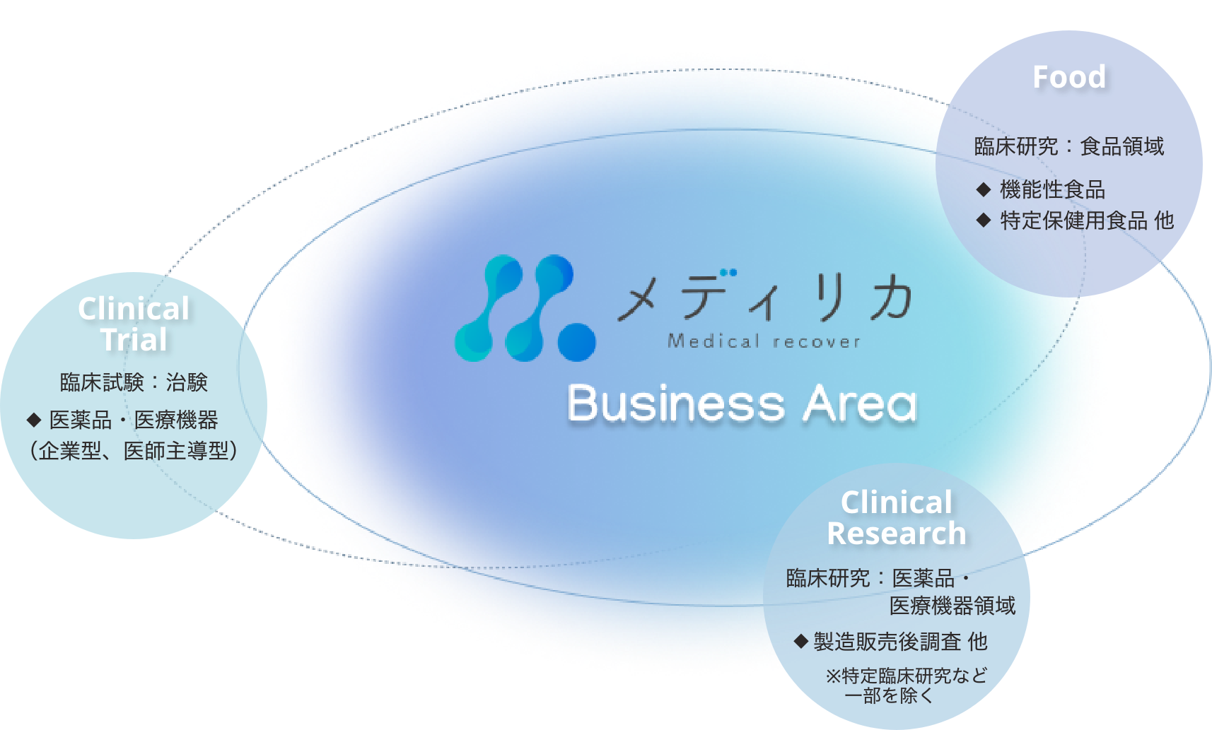 Business Area 事業領域